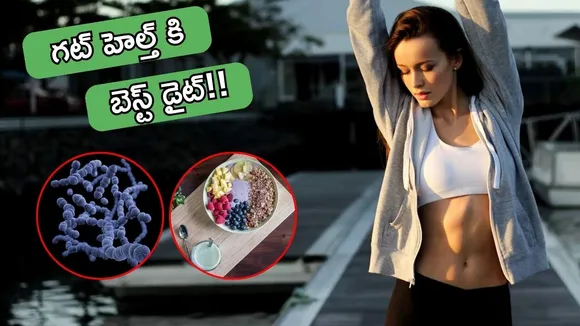 Gut Health