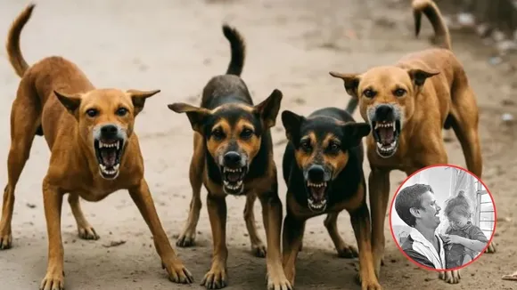 telangana Stray dogs attack 25 people in Medak district Thupran