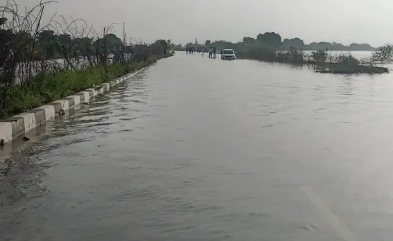 30102025wagrain-gal8