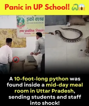 Snake In School