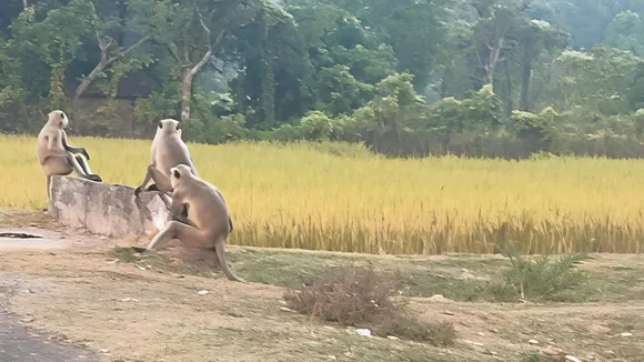 7f0049d7-63dd-4e4e-a0e1-44075ad8580b