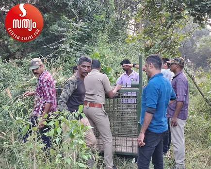 leopard trap installed-2