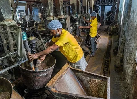 mustard-production-and-processing-in-rajasthan-2025