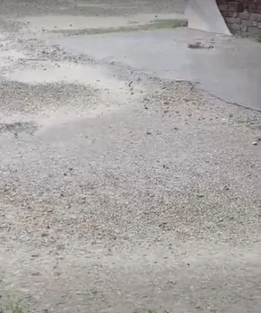 rajasthan-monsoon-yellow-alert-august-2025