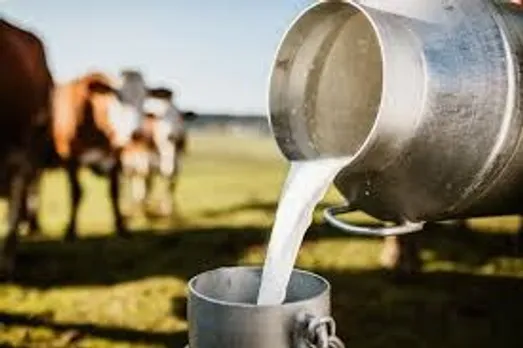 rajasthan-dairy-production-challenges-31-million-tons-milk