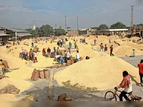 rajasthan-mandi-user-charges-traders-farmers