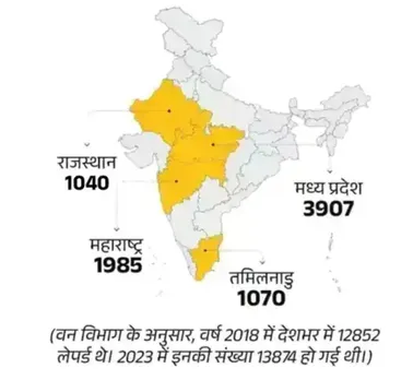 leopard-sighting-jaipur-gopalpura-rescue-operation