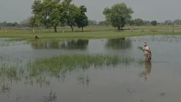 Rajasthan-Ativrishti-Kisan-Fasal-Kharab