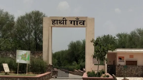 elephant-conservation-rajasthan-jaipur-hathi-gaon