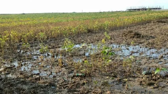pradhanmantri-fasal-bima-yojana-no-benefits-farmers-rajasthan