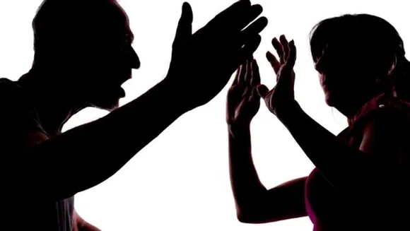 rajasthan-domestic-violence-women-safety