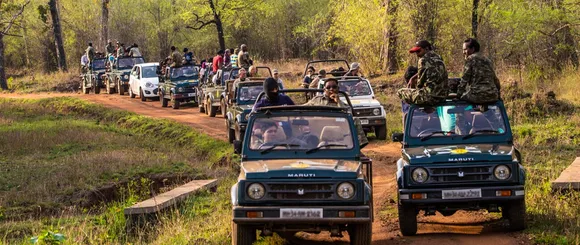 sariska-ranthambore-safari-season-2025-begins
