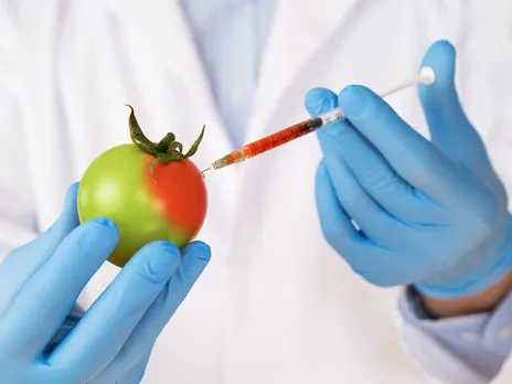 gm-food-ban-rajasthan-high-court-regulation