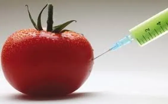 gm-food-ban-rajasthan-high-court-regulation