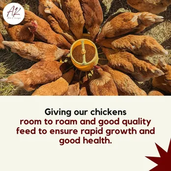 Cage-free chicken