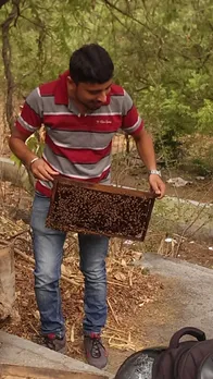 handling bee box