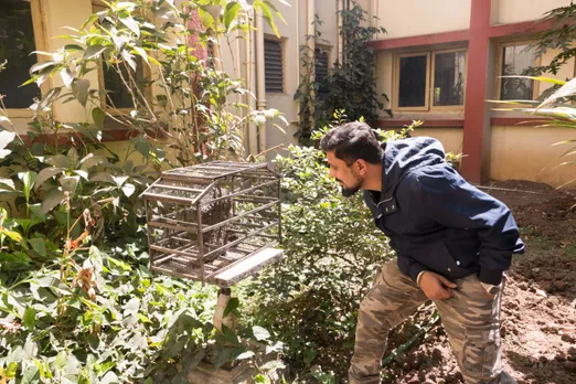 Conserving honeybees
