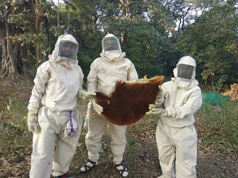 Bee rescuing