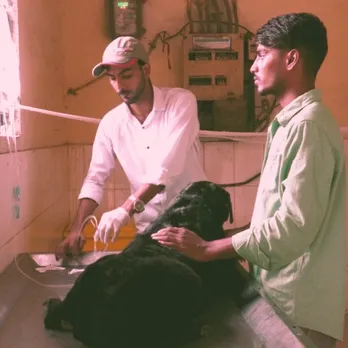 Animal care centre in Delhi