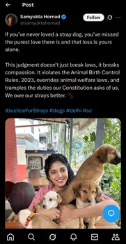 सोशल मीडिया पर नई जंग : स्ट्रे डॉग वार पर बहसबाजी तेज, प्रतिक्रियाएं पढ़कर हैरान रह जाएंगे | यंग भारत न्यूज