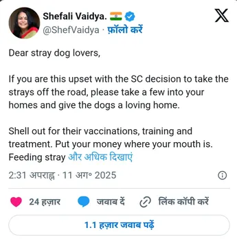 सोशल मीडिया पर नई जंग : स्ट्रे डॉग वार पर बहसबाजी तेज, प्रतिक्रियाएं पढ़कर हैरान रह जाएंगे | यंग भारत न्यूज
