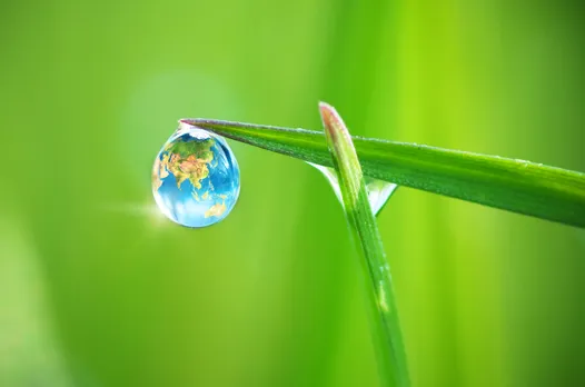 environment
