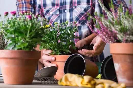 child-helps-to-father-planting-flowers-family-tim-2024-10-14-11-49-44-utc