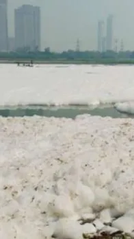 Yamuna river