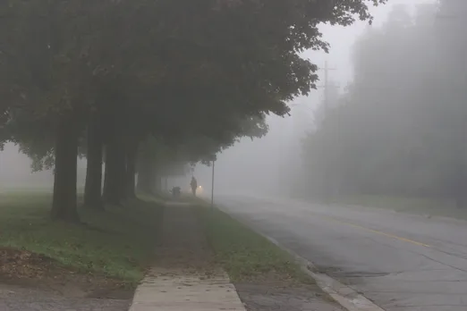 foggy and fog in madhya pradesh