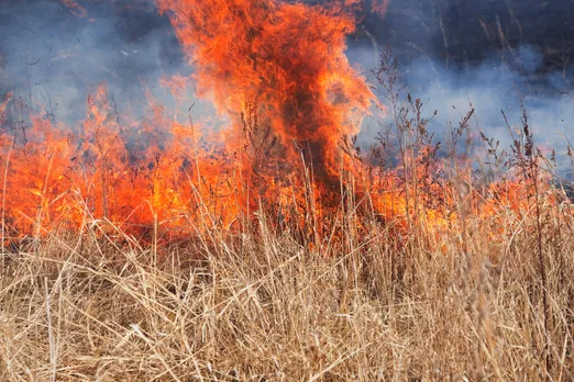 Understanding fire weather: Why wildfires are becoming more common
