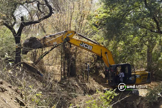 tree loss indore 4