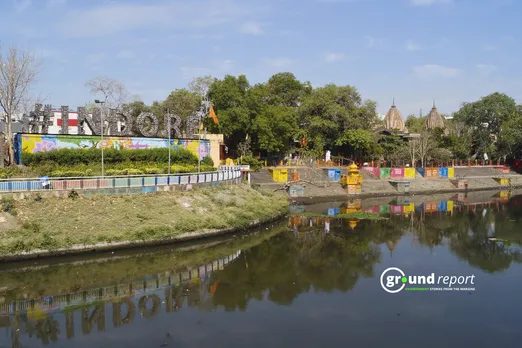 Indore lake tree 2