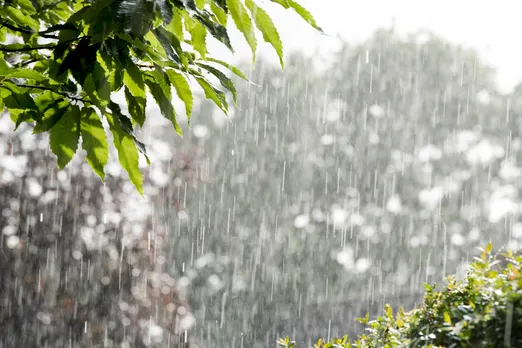 Unseasonal rain in Madhya Pradesh, May 2025