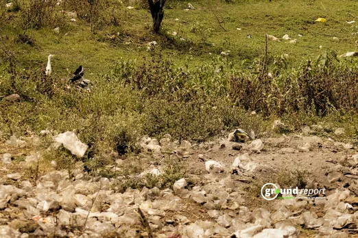 How can Bhoj wetland address the issue of microplastics910
