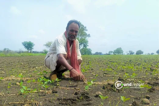 Soybean farmers forced to re sow their crops due to seed failure