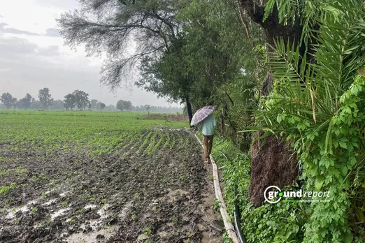 Heavy Rain Warning in North Madhya Pradesh