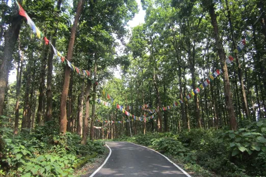 Dehradun 2000 trees will be cut in Khalanga forest to make a reservoir