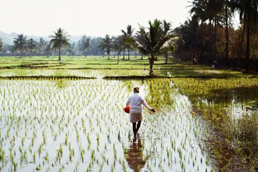 Extended monsoon started impacting kharif crop production