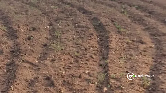 soil