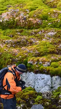 Why Is Antarctica Becoming Greener?