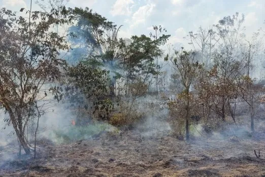 Amazon's old-growth forest wildfires surge 152% in 2023, study show