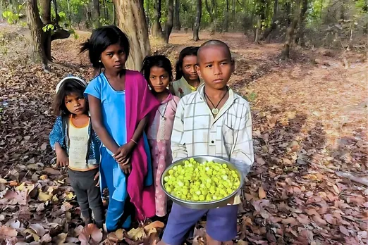 Mahua Collection Tribals of MP