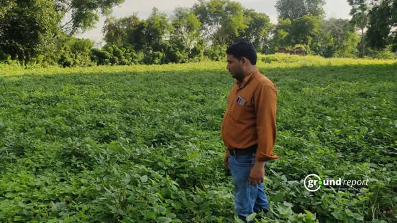 How good monsoon will help central India’s economy this year?