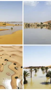 Sahara flood