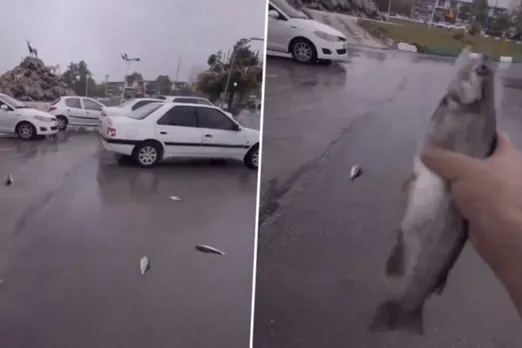 fish Rain in Iran