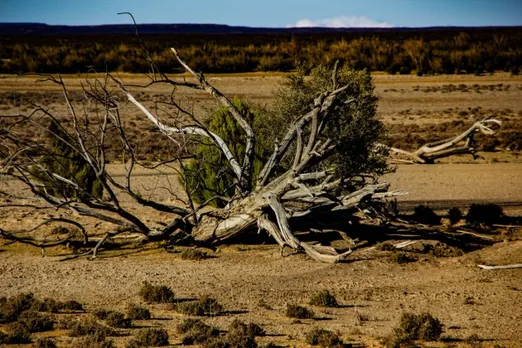 Drought