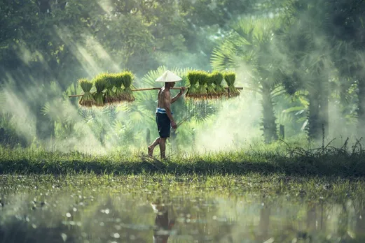 PM Kisan Yojna: What is New Rule to check balance Status?