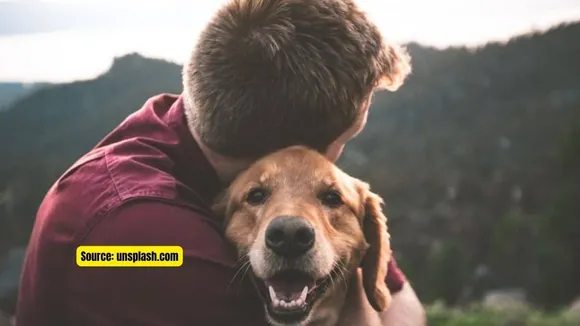 CBD for DOGS