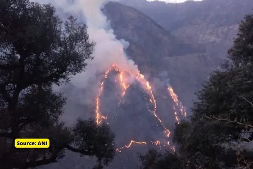 Smoke from wildfires becomes more toxic in atmosphere