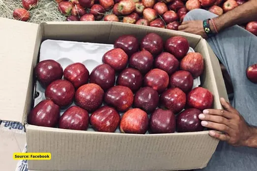Why are Himachal Pradesh Apple Farmers protesting?